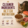 Signature Grain Zero Ocean Fish, Sardine and Mackerel Adult Cat Dry Food Cats- Dry food Signature