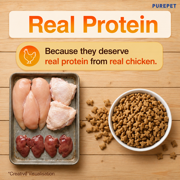 Purepet Real Chicken Adult Dry Cat Food