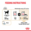 Royal Canin Chunks In Gravy Labrador Retriever Adult Dog Wet Food Dogs-Wet Food Royal Canin