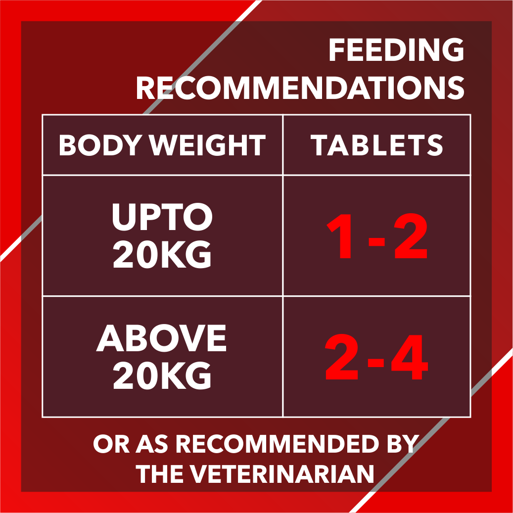 Drools Absolute Calcium Dog Supplement Tablets Dogs-Health & Wellness Drools