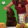 FloofYou Oven Baked Mixed Fruit and Veggies Dog Treats Dog Treats + Others FloofYou