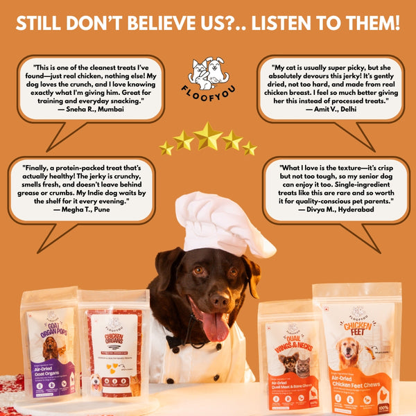 Floofyou Air Dried High Protein Chicken with Fish Jerky Dog and Cat Treats