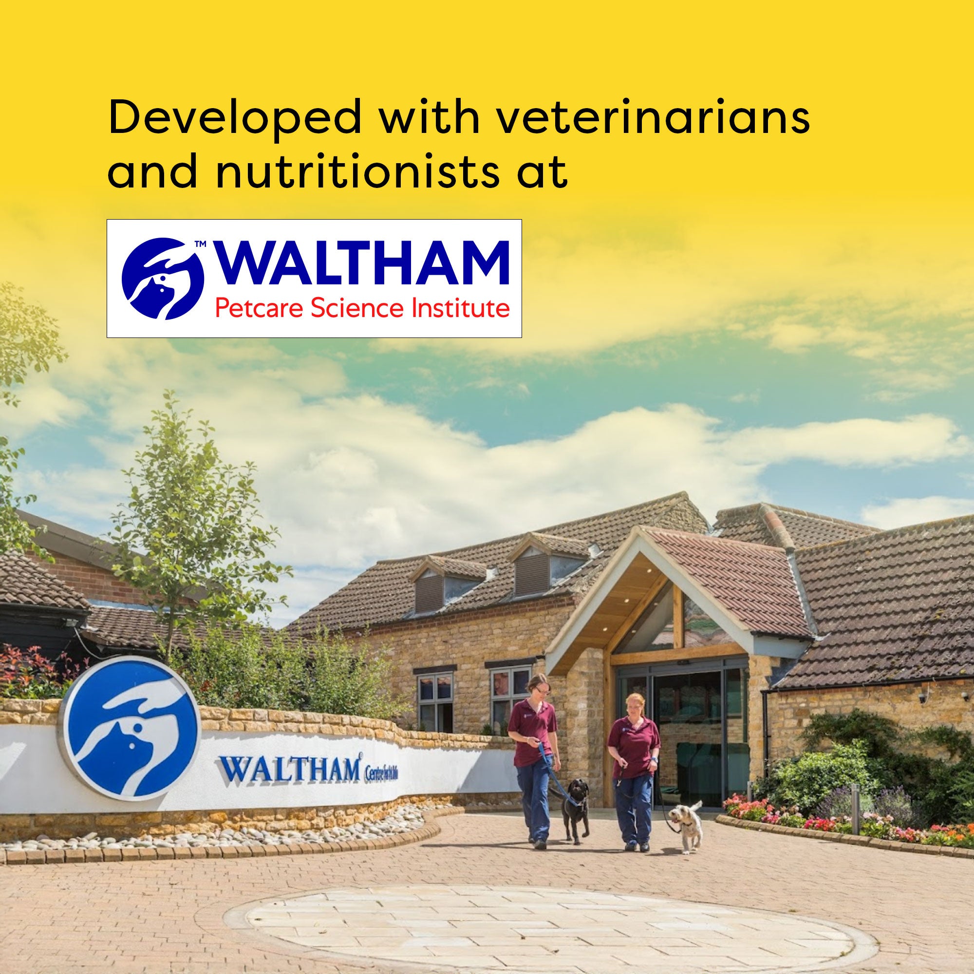 Temptations Savoury Salmon Flavour Cat Treats