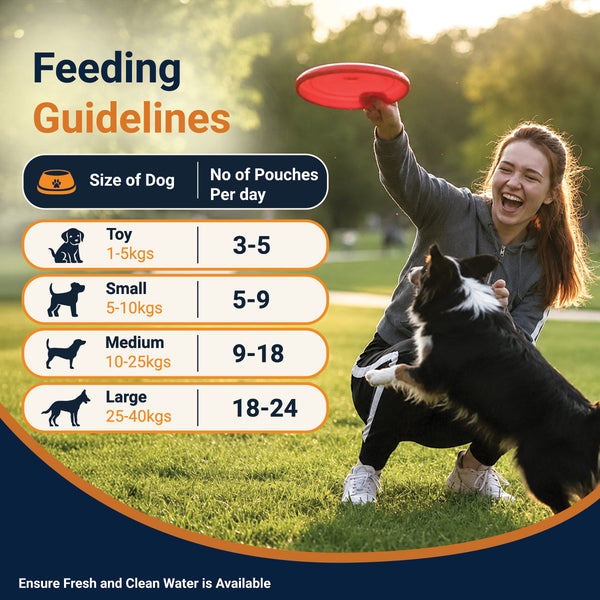 Bowlers Chicken Recipe in Gravy Dog Wet Food
