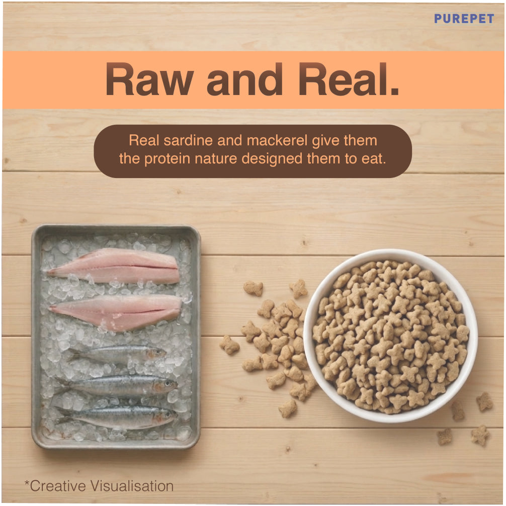Purepet Mackerel Adult Cat Dry Food Cats- Dry food Purepet