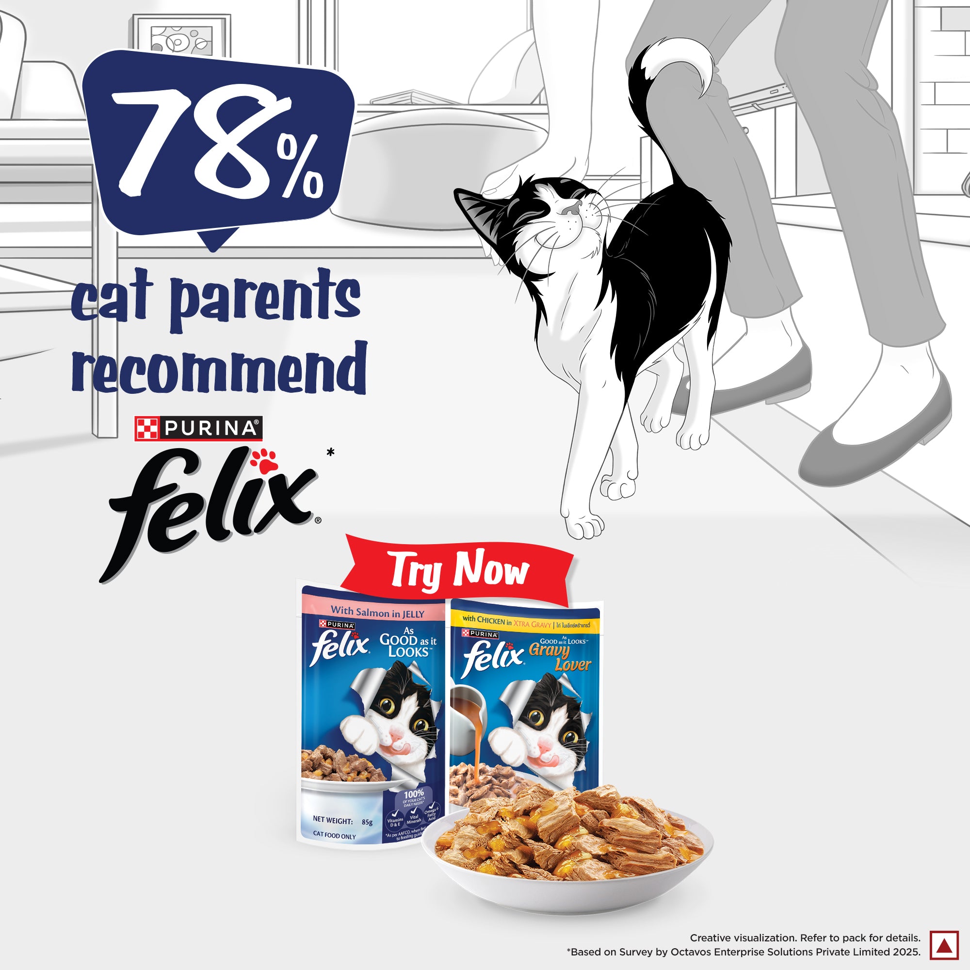Purina Felix with Salmon in Jelly Adult Complete and Balanced Cat Wet Food Cats-Wet Food Felix