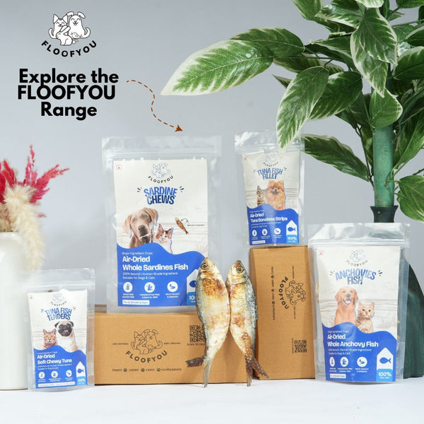 FloofYou Air Dried Whole Sardines Fish Dog & Cat Treats
