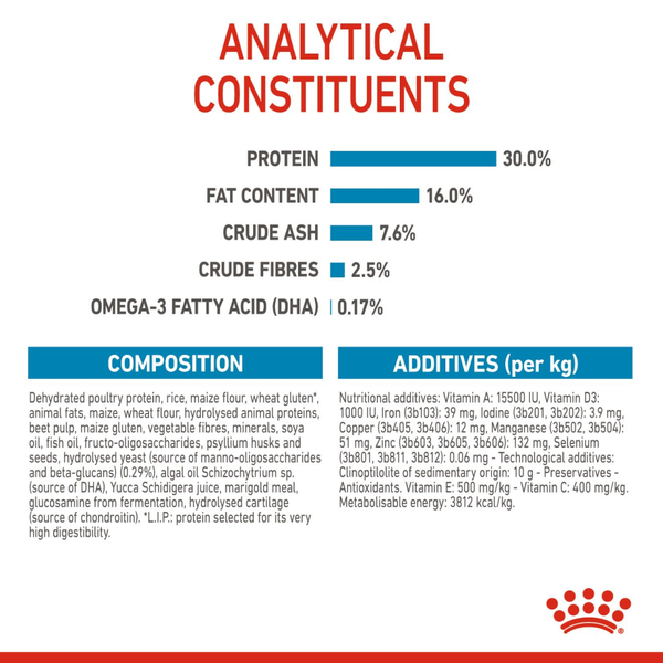 Royal Canin Maxi Puppy Dog Dry and Wet Food Combo