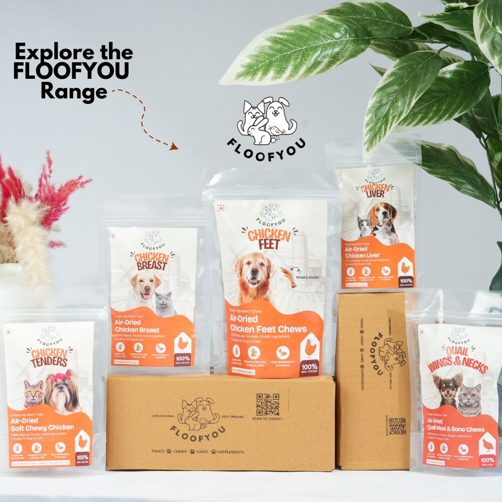 FloofYou Unsweetened & Natural Peanut Butter Dog Treats Dog Treats + Others FloofYou
