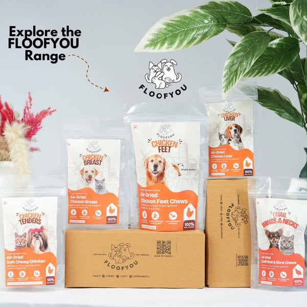 FloofYou Unsweetened & Natural Peanut Butter Dog Treats