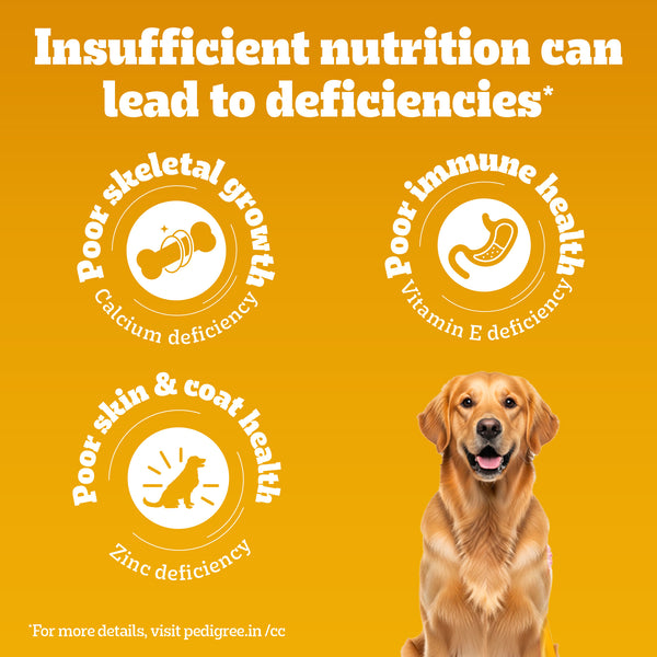Pedigree 100% Vegetarian Adult Veg Dog Dry Food