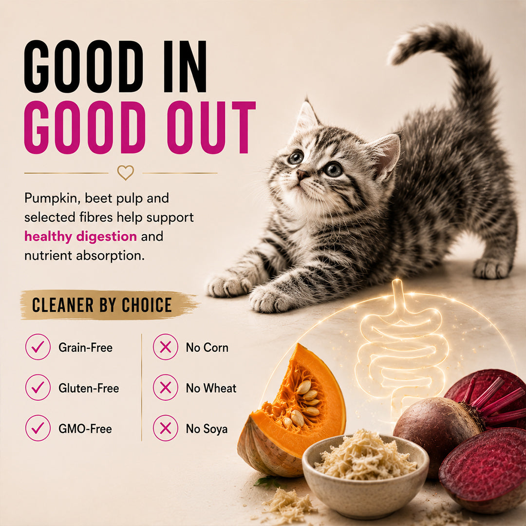 Signature Grain Zero Ocean Fish, Sardine and Mackerel Mother and Kitten Cat Dry Food Cats- Dry food Signature