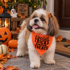 15 Furries Trick for Treat Halloween Bandana for Dogs & Cats (Orange/Black) Both-Clothing & Accessories 15 Furries Dropship