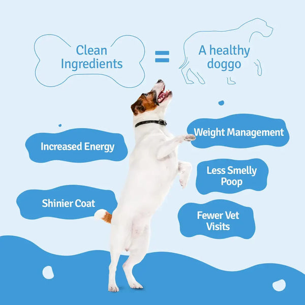 BLEP Chicken Rice Pawer Dog Wet Food (100g)