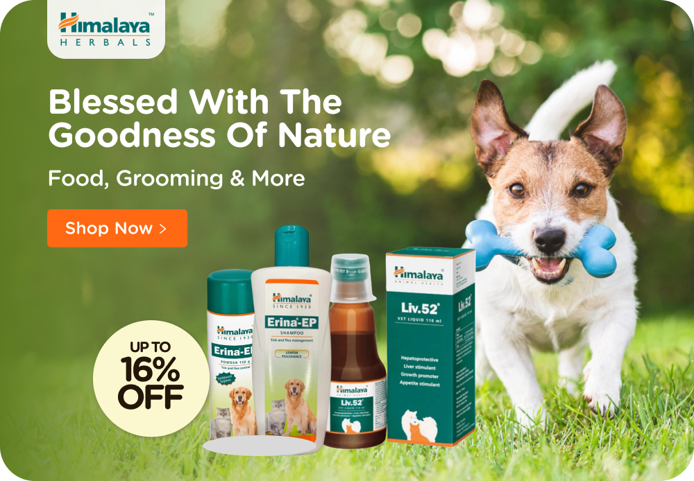 Buy top pet shop
