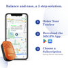 FeTaca Smart 4G GPS Tracker with Lifetime Free Tracking & 1 Year Data SIM Subscription for Dogs and Cats (Orange) Both-Collar, Leashes, harnesses FeTaca Dropship