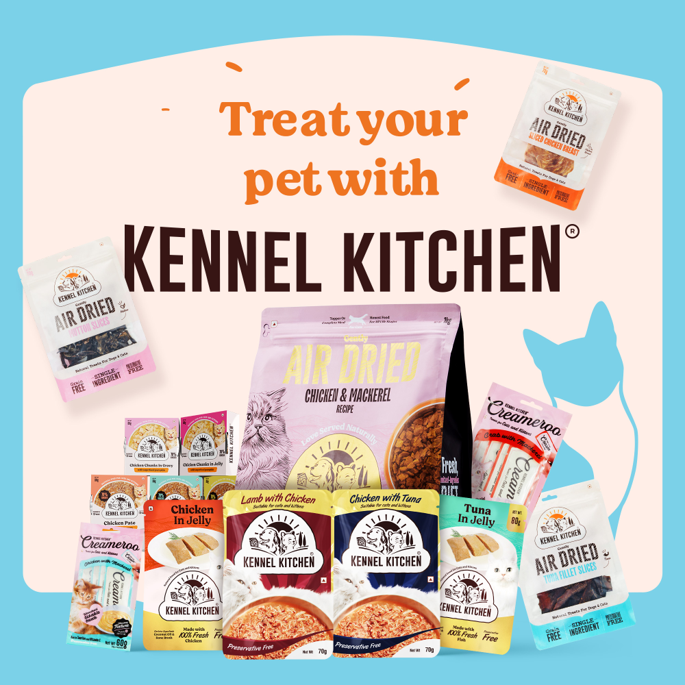 Kennel Kitchen Fish Gravy All Life Stage Wet Food, Scoopy Lavender Natural Brown Sand Cat Litter Combo Exclusive Combo Exclusive Combo