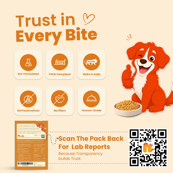 Nootie Nibblr Fresh Wholesome Ready to Eat Meal Daily Chicken Liver with Pumpkin Dog Wet Food