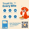 Nootie Nibblr Fresh Wholesome Ready to Eat Meal Daily Chicken Veggie And Rice Dog Wet Food Dogs-Fresh Food Nootie