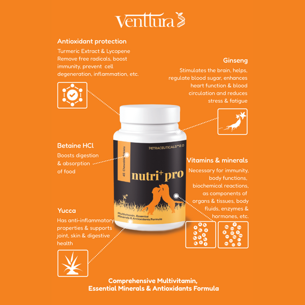 Venttura Nutri Plus Pro Multi Vitamin Chewable Tablets for Dogs