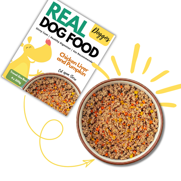 Doggos Chicken and Pumpkin Real Fresh Dog Wet Food (200g)