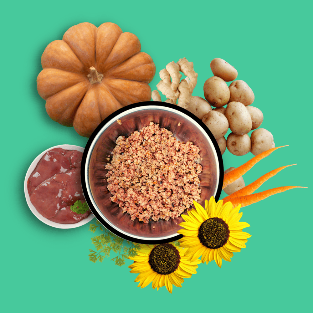 Doggos Mini Monster Chicken and Pumpkin Fresh Small Breeds Dog Wet Food (Limited Shelf Life)