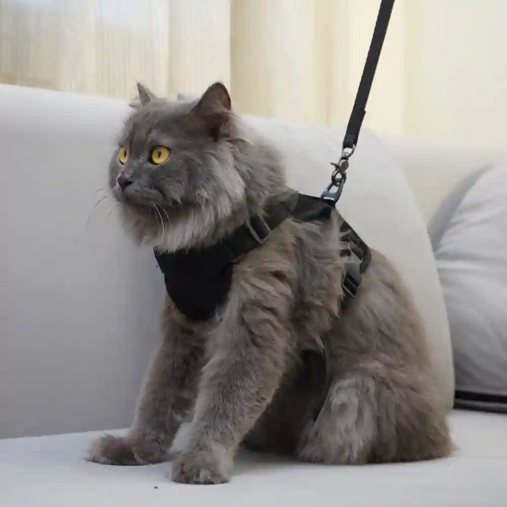 Skatrs Harness with Leash for Cats (Black) Rewards Cats-Collar, Leashes, harnesses Skatrs Neck:19-27in
