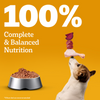 Pedigree Chicken and Liver Chunks in Gravy Adult Dog Wet Food (130g) Dogs-Wet Food Pedigree