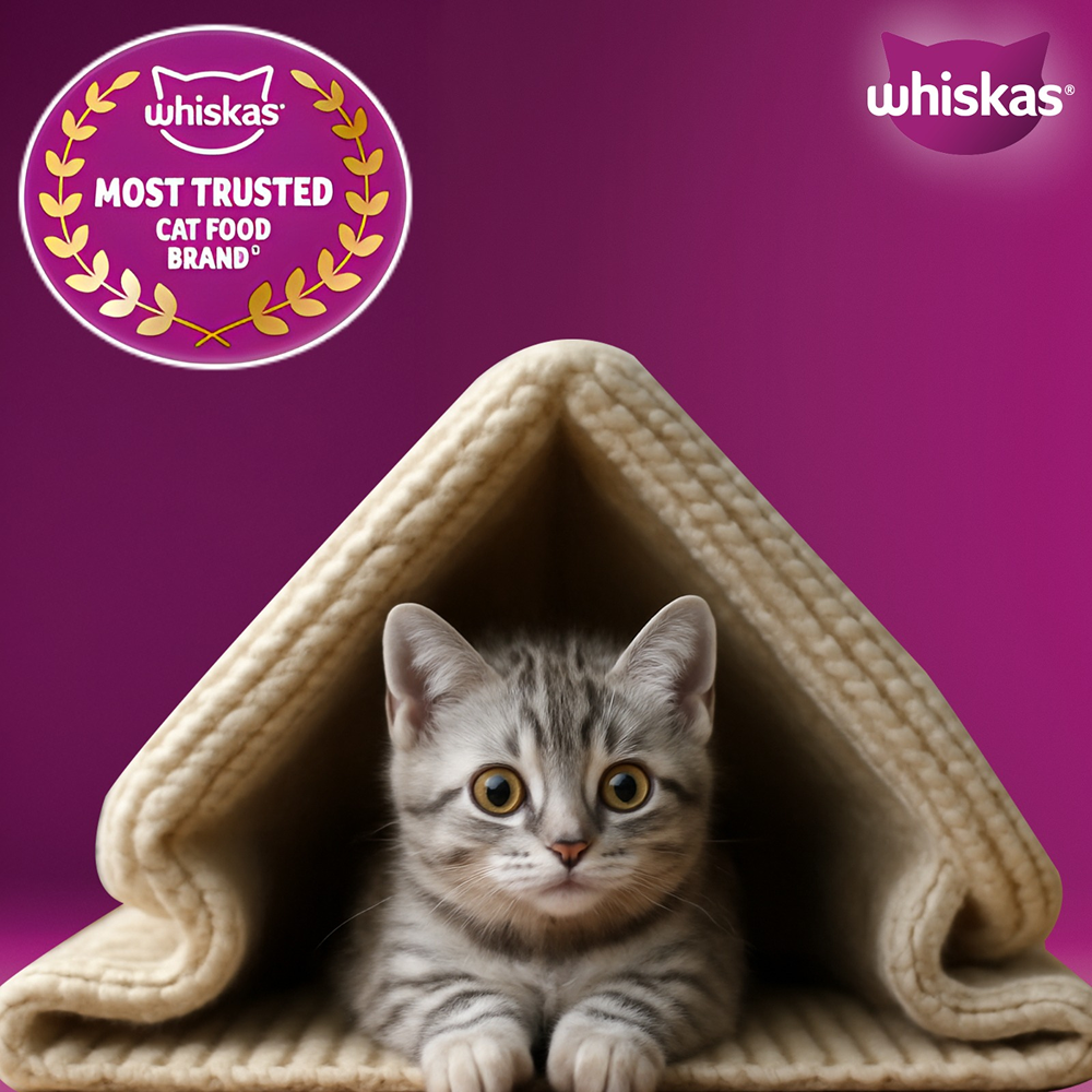 Whiskas Mackerel Flavour Kitten (2 to 12 months)Cat Dry Food Cats- Dry food Whiskas