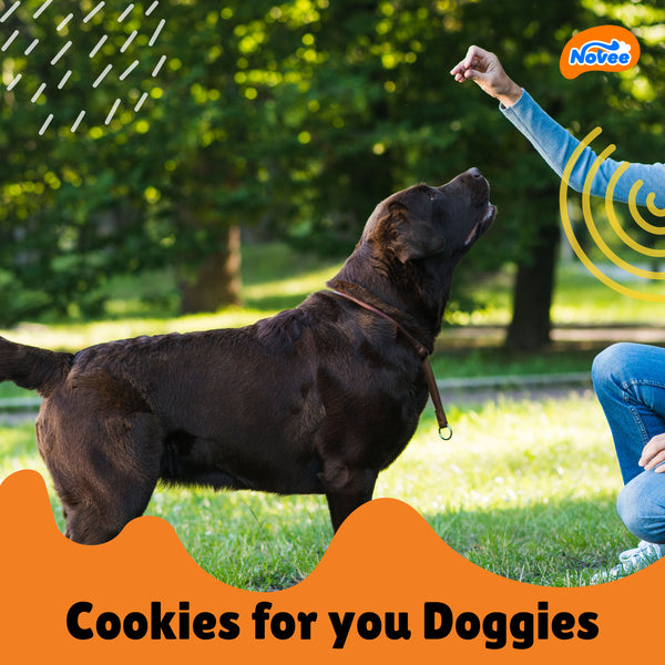 Novee Joint and Bone Support Cookie Dog Treats