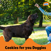 Novee Joint and Bone Support Cookie Dog Treats Dog Treats + Others Novee