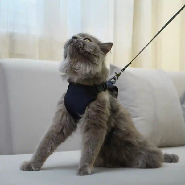 Skatrs Harness with Leash for Cats (Dark Blue)