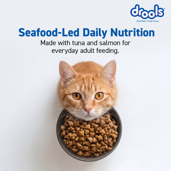 Drools Tuna & Salmon Adult Dry Cat Food