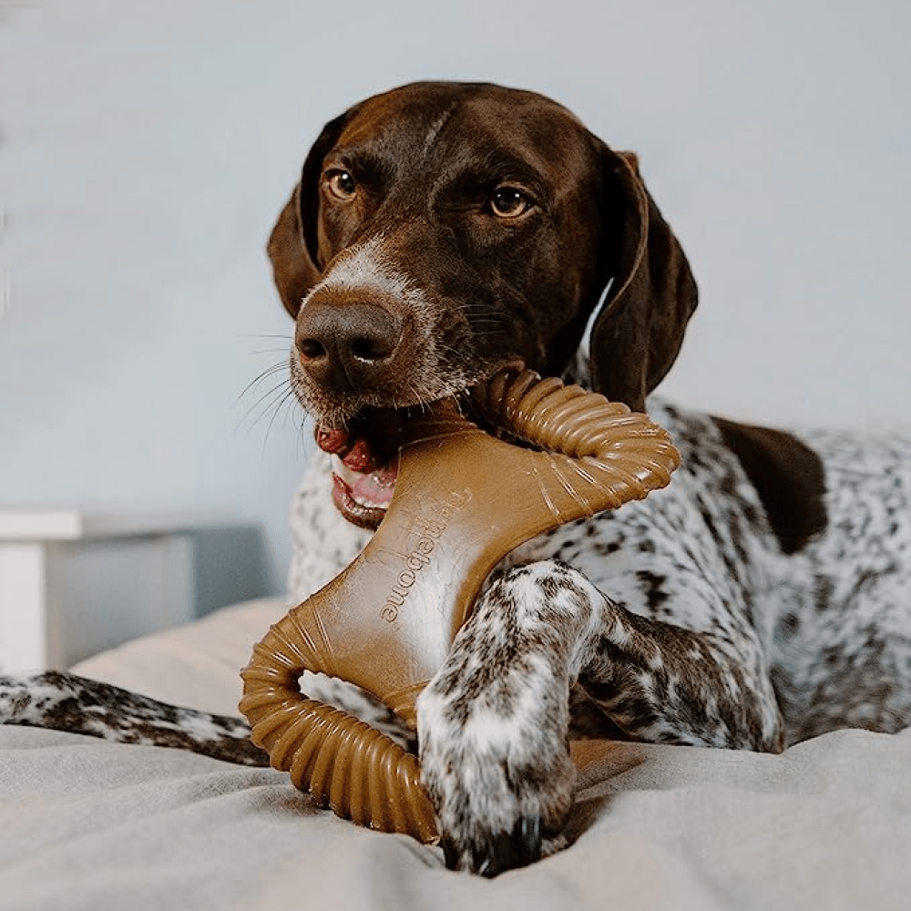 Gnawlers Defense Dent Dental Care Chew Bones & Benebone Bacon Flavored Dental Chew Toy Combo for Dogs Exclusive Combo Exclusive Combo