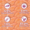 Whiskas Chicken with Salmon in Jelly Adult Cat Wet Food Cats-Wet Food Whiskas