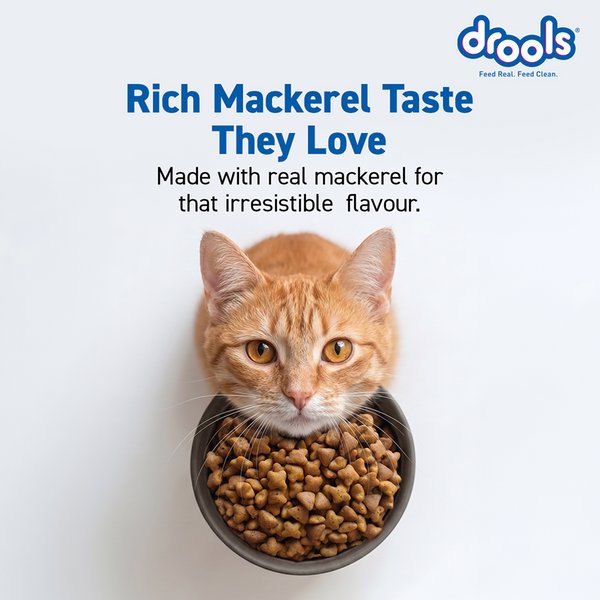 Drools Mackerel Adult Cat Dry Food