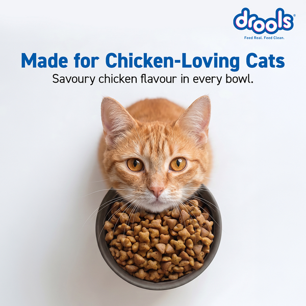 Drools Real Chicken Adult Cat Dry Food