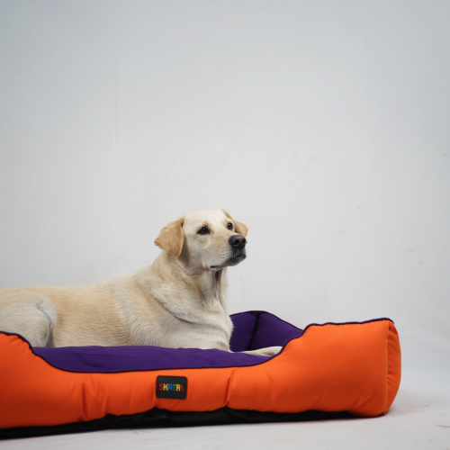 Skatrs Square Shaped Bed for Dogs & Cats (Orange/Purple)