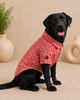 Pawgypets Cotton with Mandarin Collar Kurta for Dogs (Rust) Dogs-Clothing & Accessories Pawgypets Dropship