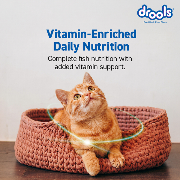 Drools Ocean Fish Adult Cat Dry Food
