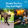 Zeus Squeaker & Glow DUO Ball for Dogs (Blue) Dogs-Toys Zeus