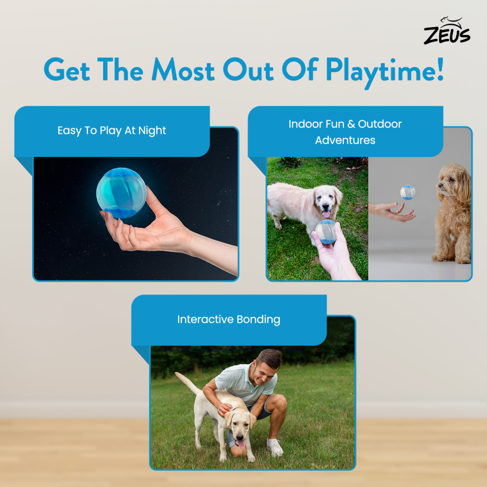 Zeus Squeaker & Glow DUO Ball for Dogs (Blue) Dogs-Toys Zeus