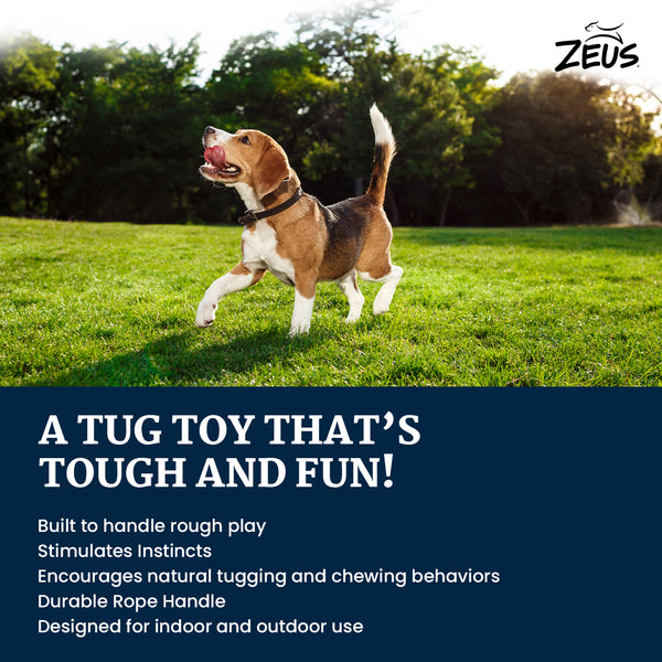 Zeus Rope Ball Tug with Single Hand Loops Toy for Dogs (Blue)