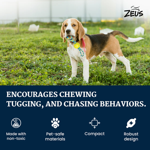 Zeus Rope Ball Tug with Hand Loops Toy for Dogs (Blue)