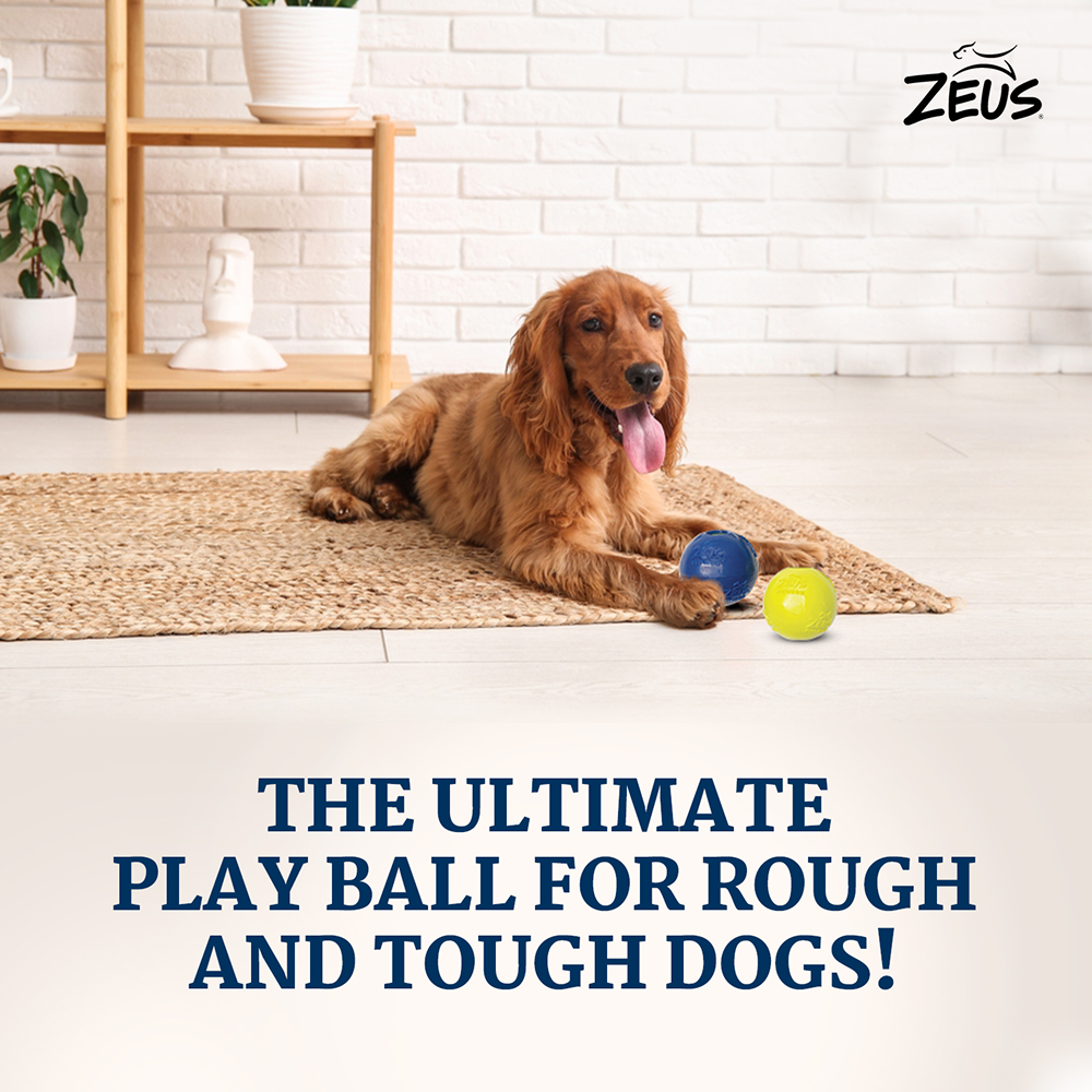 Zeus Tpr Encased Tennis Ball Toy for Dogs (Blue & Yellow)