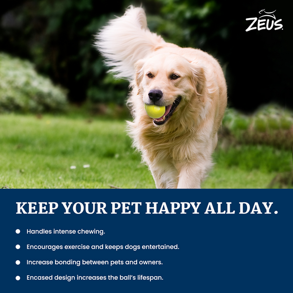 Zeus Tpr Encased Tennis Ball Toy for Dogs (Blue & Yellow)