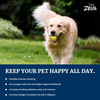 Zeus Tpr Encased Tennis Ball Toy for Dogs (Blue & Yellow)