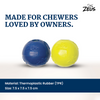Zeus Tpr Encased Tennis Ball Toy for Dogs (Blue & Yellow)