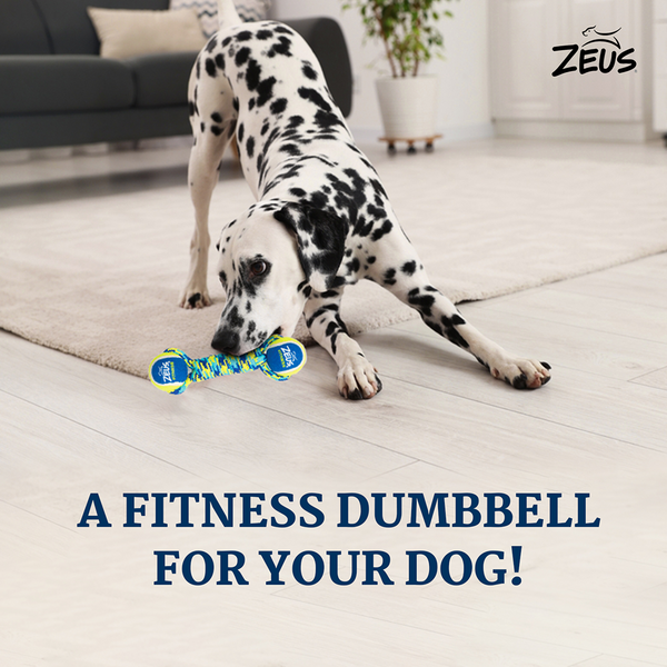 Zeus Double Tennis Ball Rope Dumbbell Toy for Dogs (Blue)