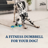 Zeus Double Tennis Ball Rope Dumbbell Toy for Dogs (Blue) Dogs-Toys Zeus